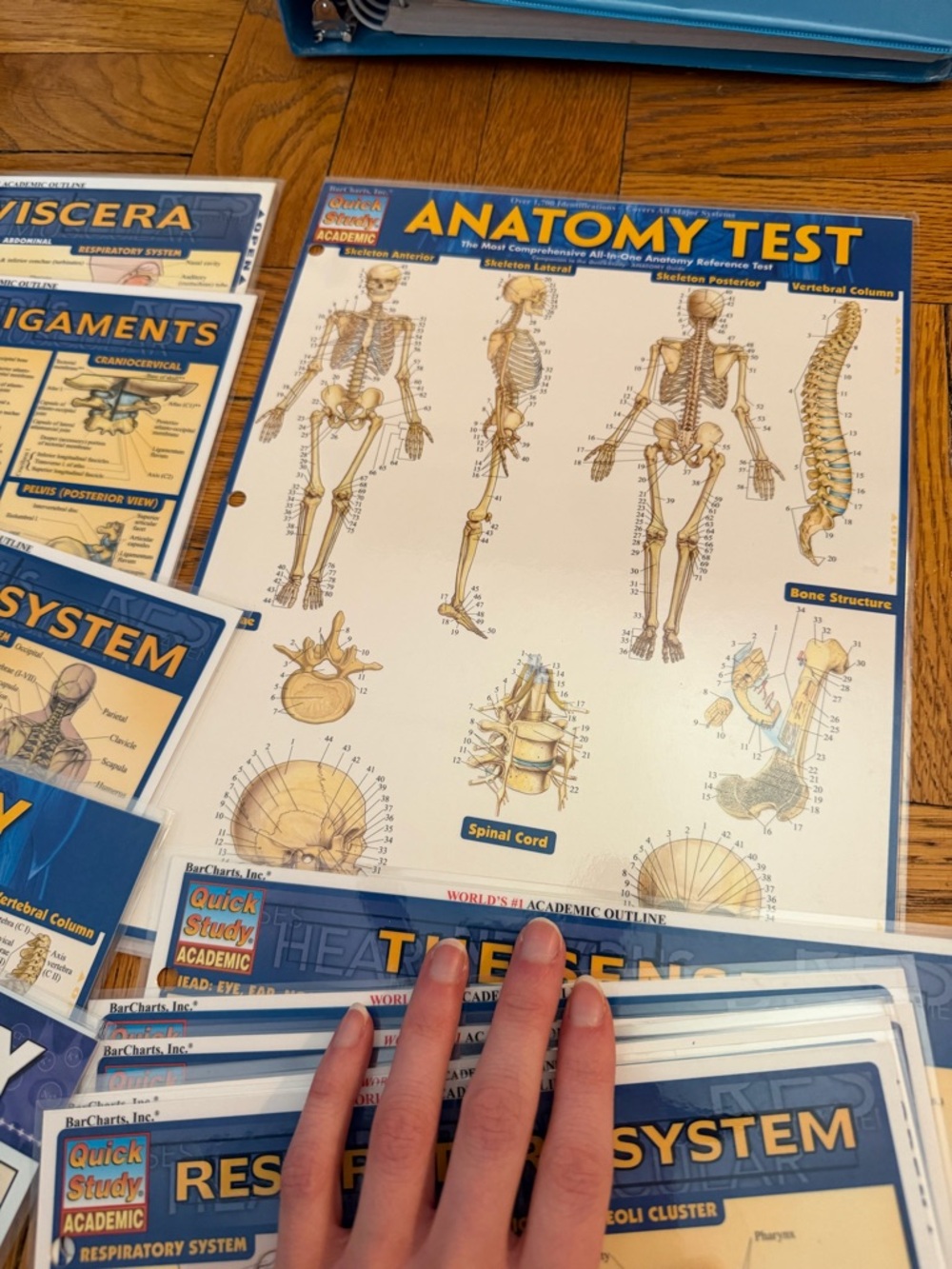 Quick Study Academic Body Systems - Picture 3 of 7